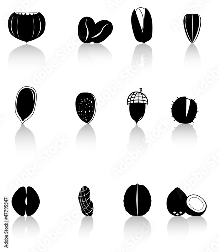 Icons - silhouettes of various kinds of nuts