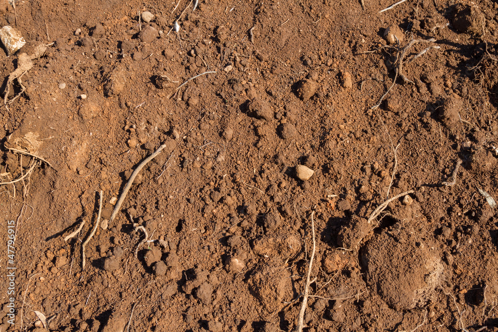 Dry Soil Dry Soil