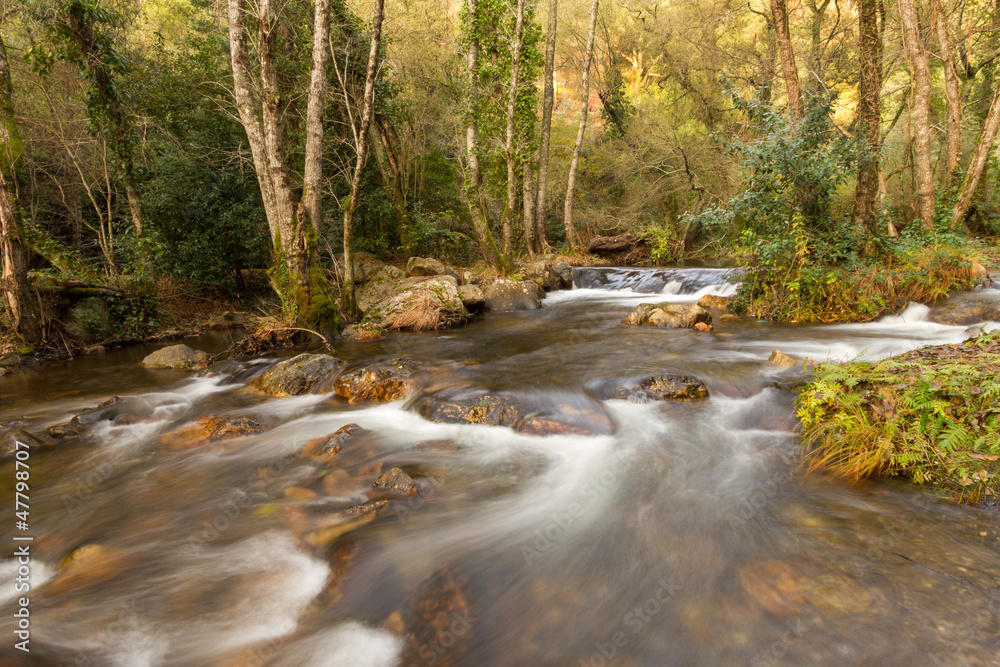 River Flow