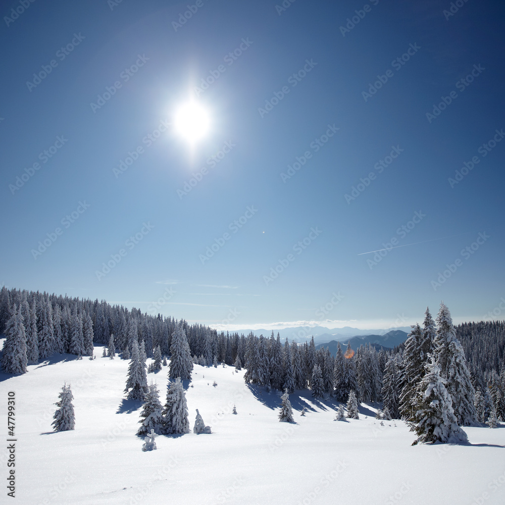 Fototapeta premium Winter landscape
