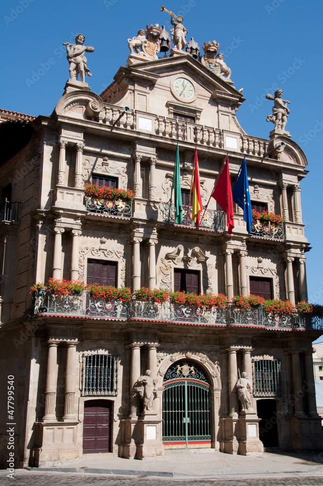 Ayuntamiento de Pamplona, Navarra (España)