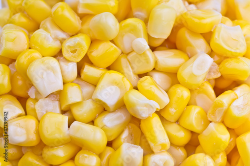 Ripe grains of sweet corn