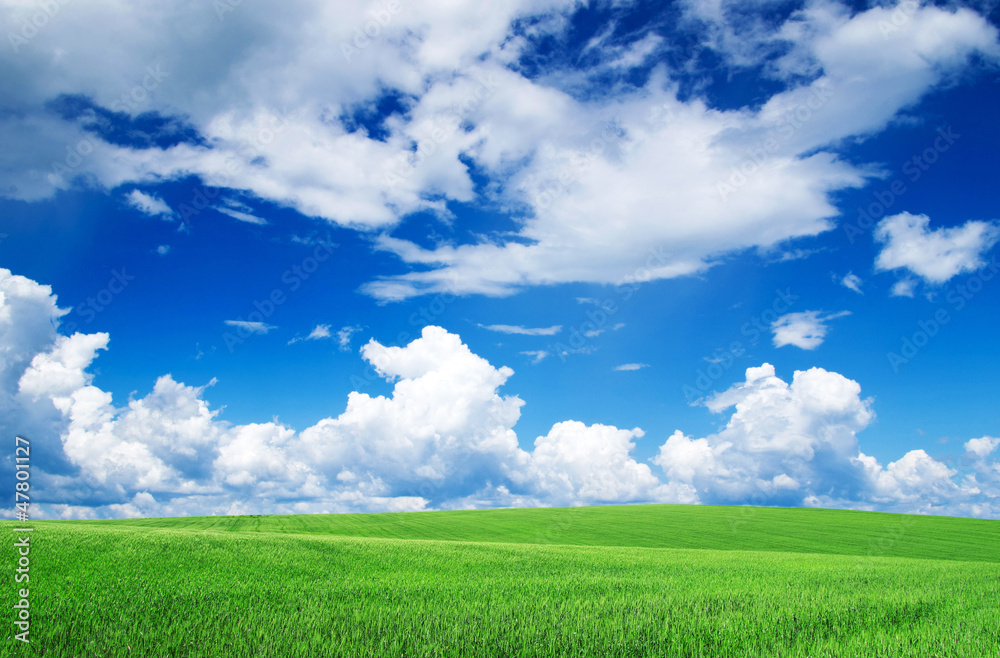 field field