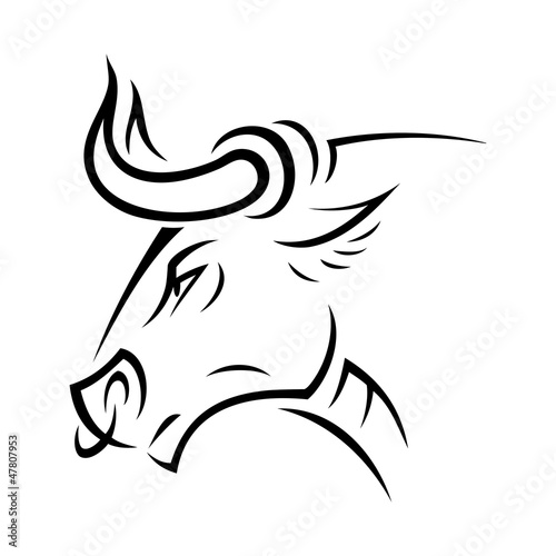 Angry bull
