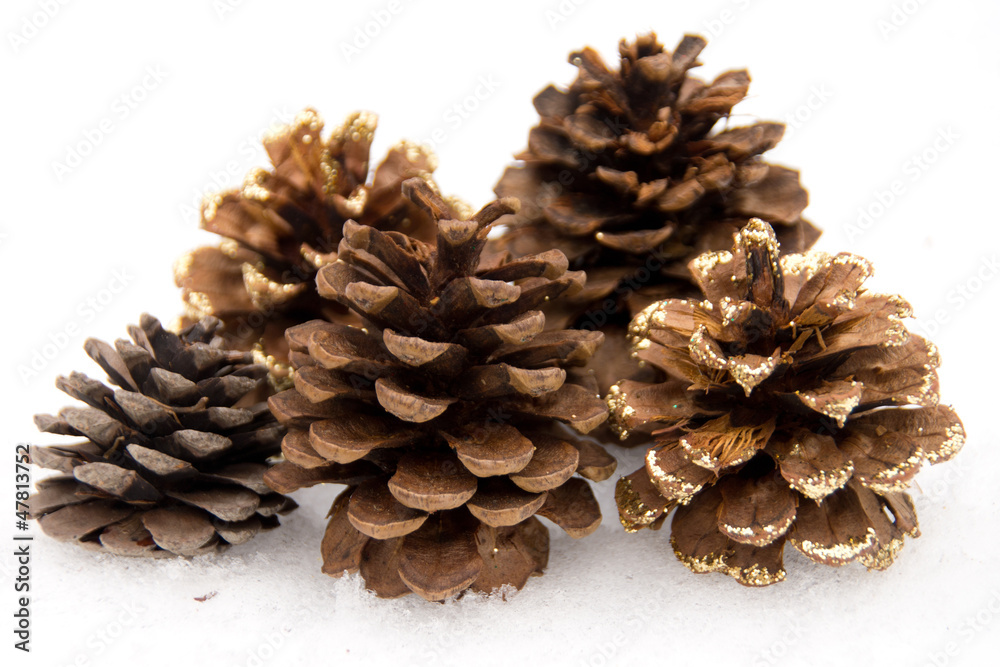 Cones Cones