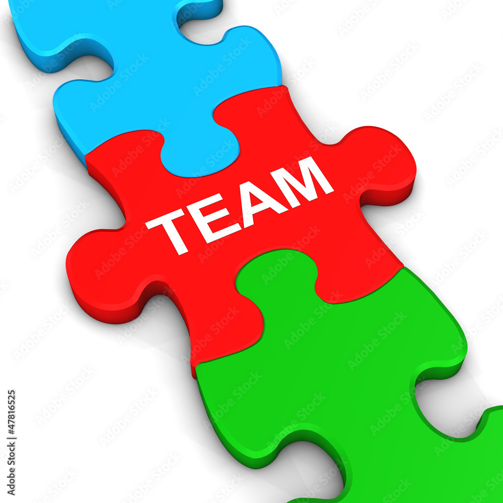 Puzzle Team Puzzle Team