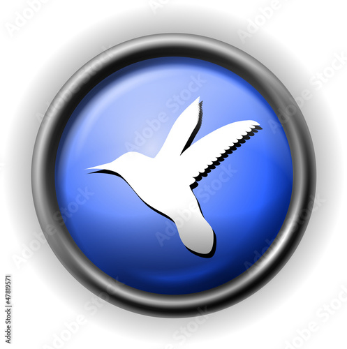 Glass colibri icon