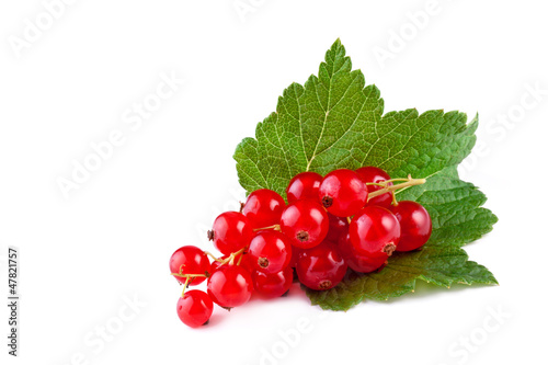 red currant with leaf isolated on white