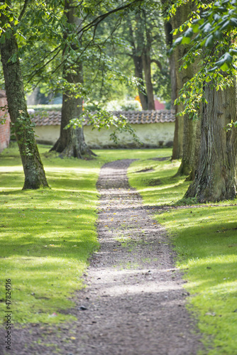Empty path in park at summer, Sweden