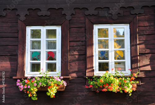 flowers and wooden house  the Czech Republic