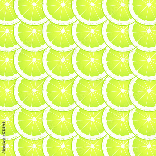 Lime slices vector background vector