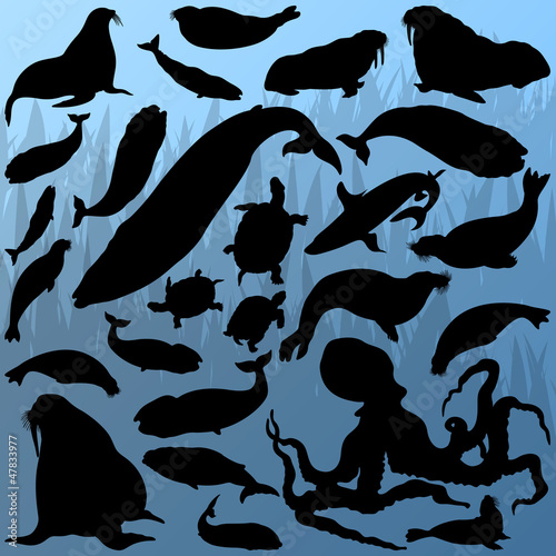 Big whale, octopus, seal, sea lion, turtle and shark