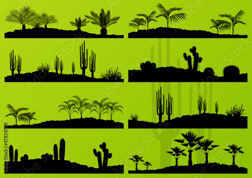 Desert cactus plant and exotic palm trees detailed landscape bac