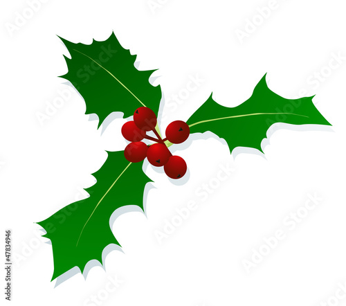 Christmas holly berry vintage holiday decoration background vect