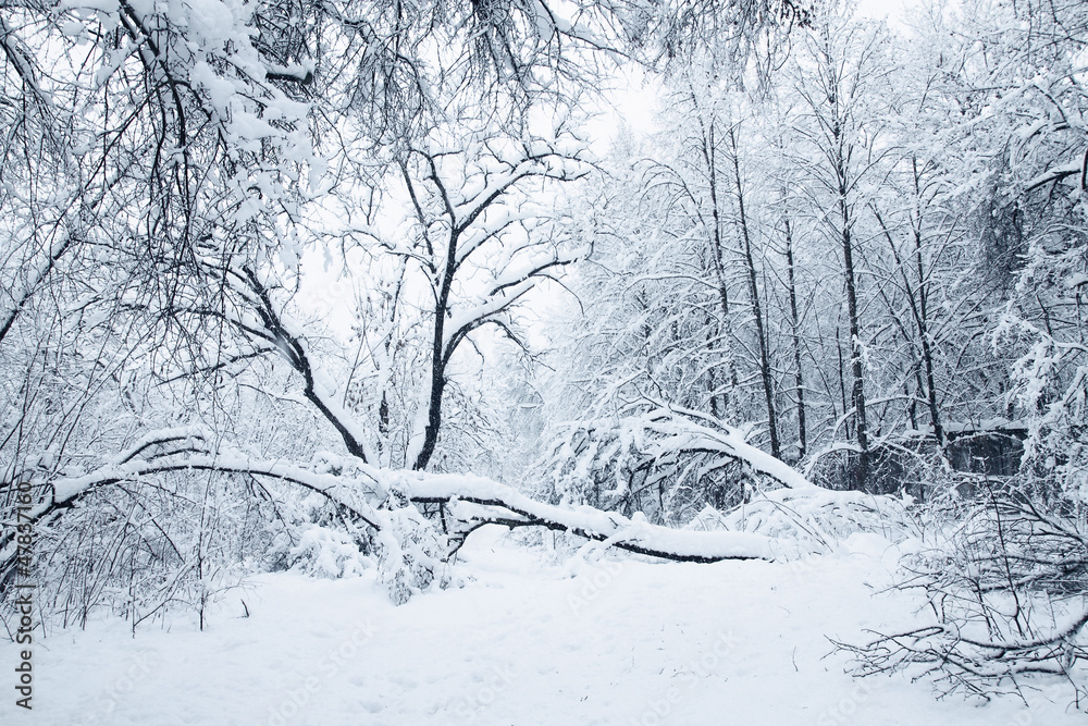 heavy snowfall heavy snowfall