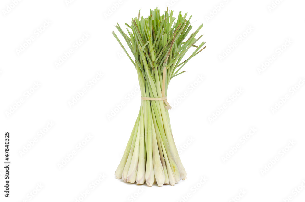 Bundle of Fresh Lemon Grass on white background Bundle of Fresh Lemon Grass on white background