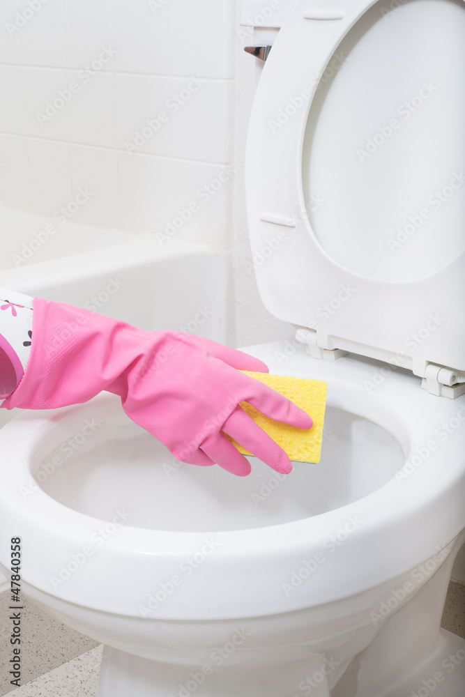 Toilet Cleaning Toilet Cleaning