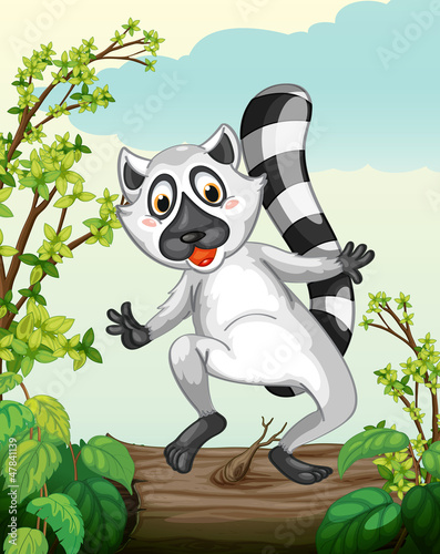 A Lemur in a green nature