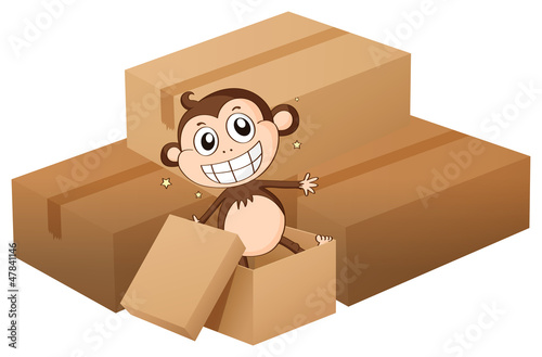 A monkey and boxes