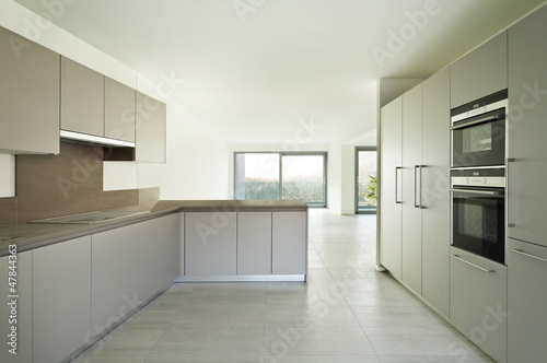 interior  modern kitchen