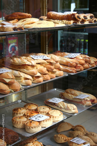 Palma pies