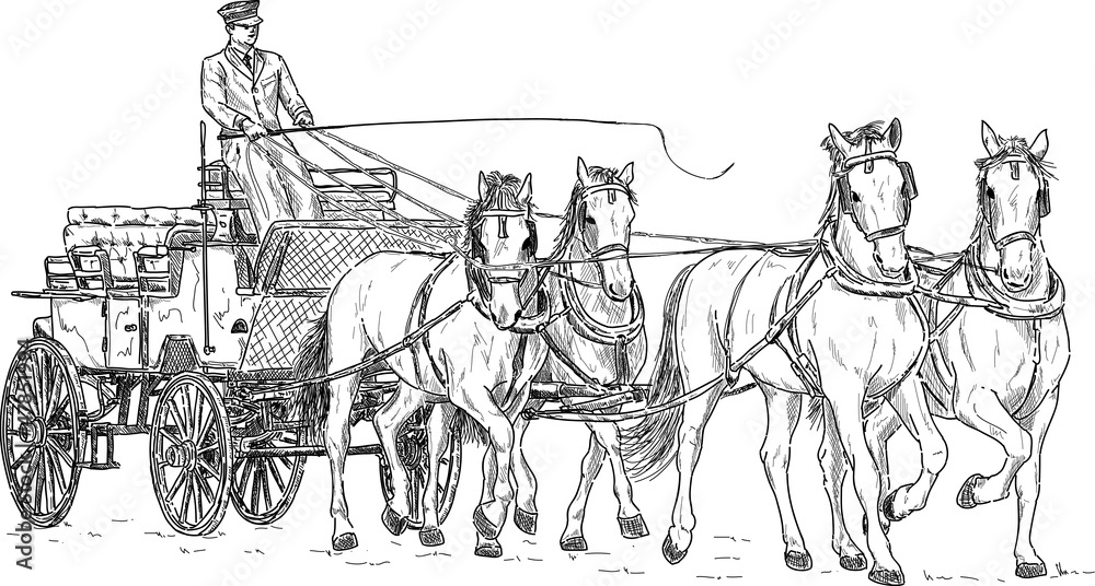 Obraz premium Horse carriage