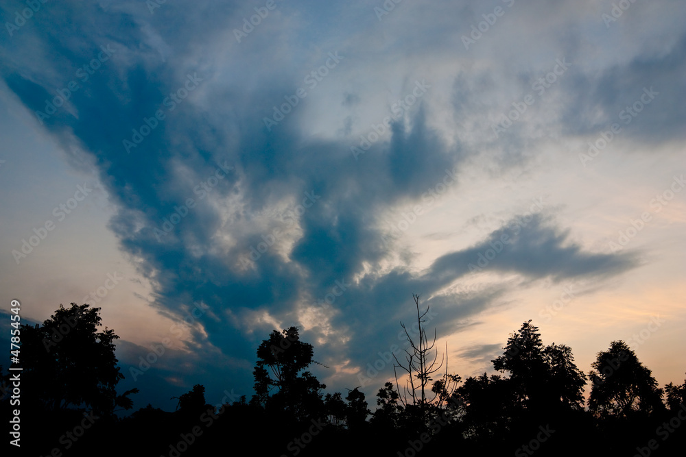 Obraz premium Silhouette view of rural plant with twilight sky in Thailand