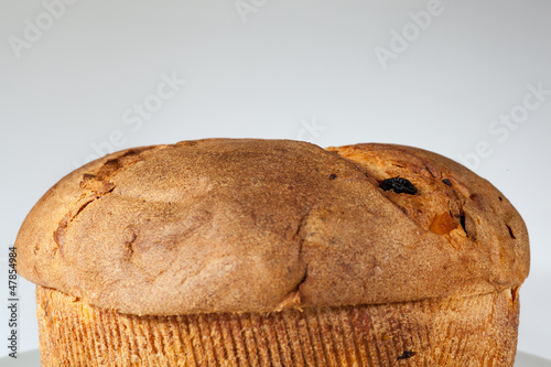 Panettone photo