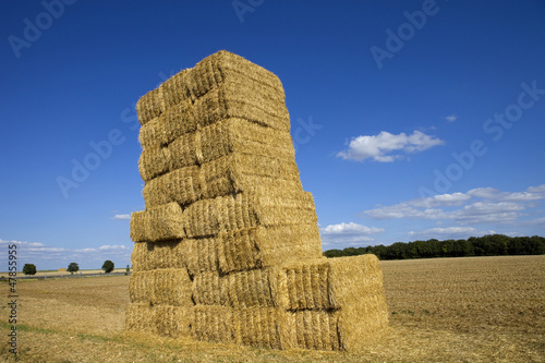 Dry hay