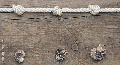rope and shells on weathered wood background