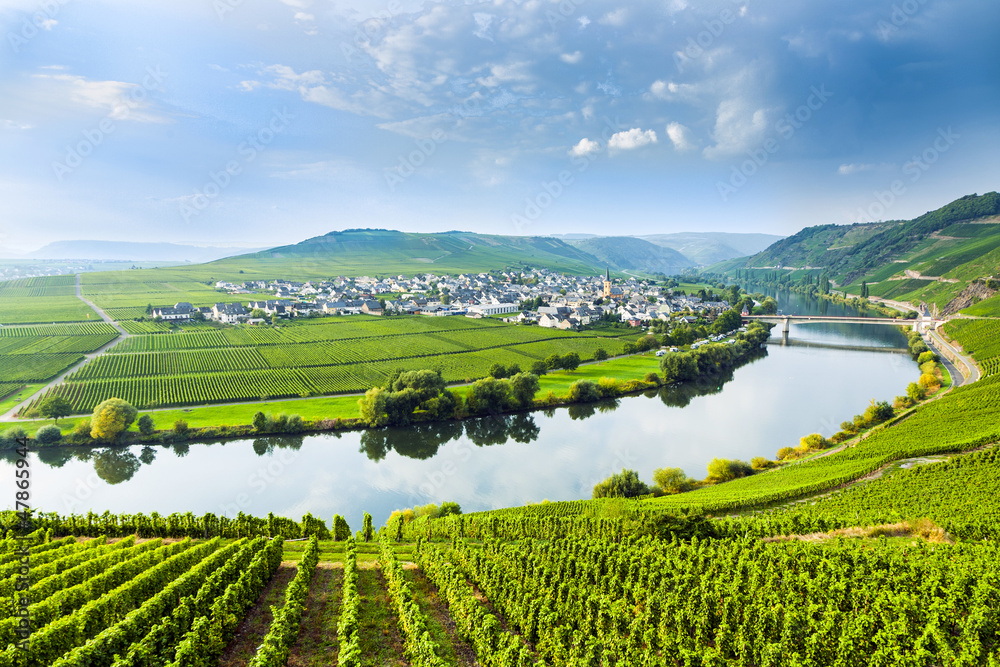 Fototapeta premium famous Moselle Sinuosity with vineyards