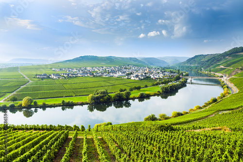 famous Moselle Sinuosity with vineyards photo