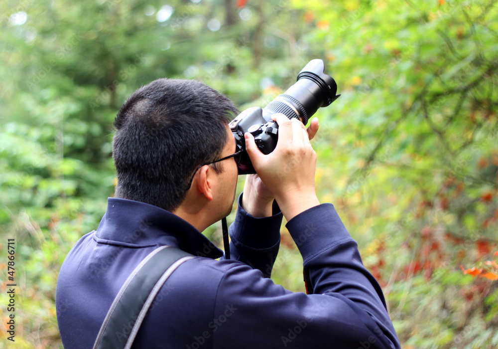 photographer shooting in the forest photographer shooting in the forest