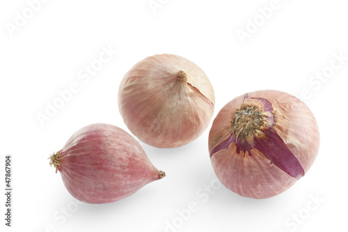 small red shallot