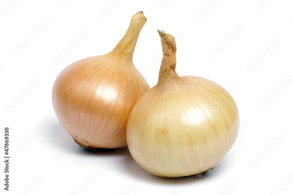 Two onions vegetables isolated on white background