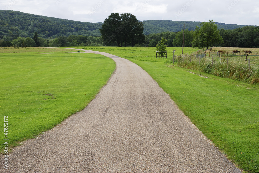 Track in countryside. Sussex. England