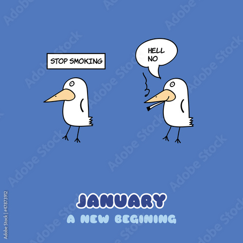 January Bird Adventure