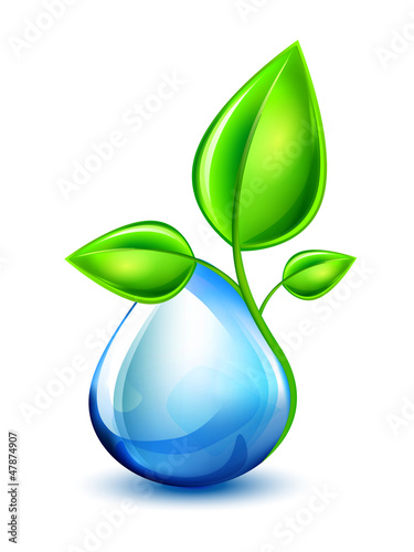 Sprout in the water drop.