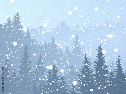 Wild coniferous snowy forest.
