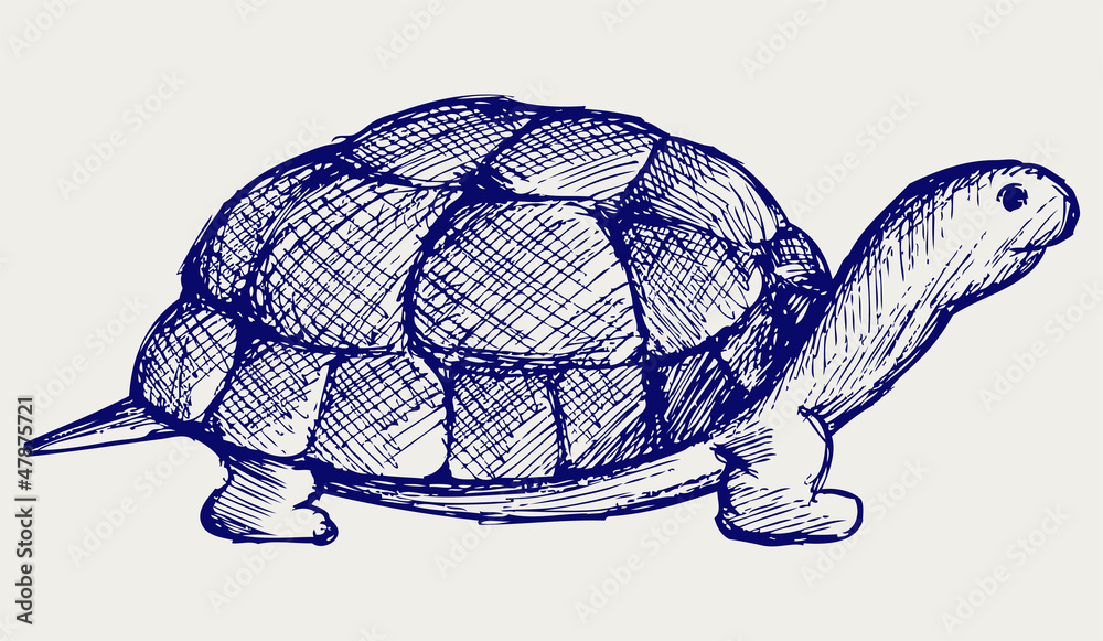 Fototapeta premium Ear tortoise. Doodle style