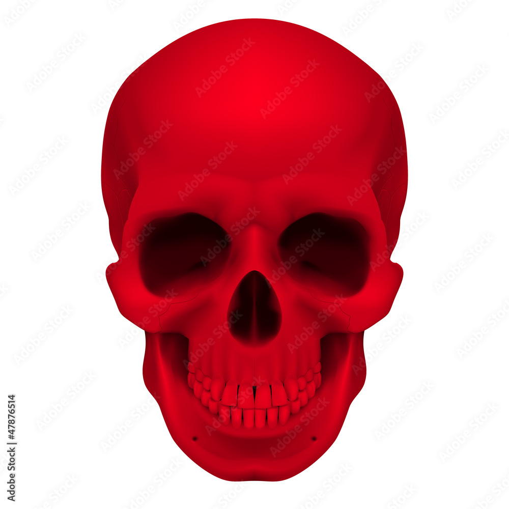 Obraz premium Red skull