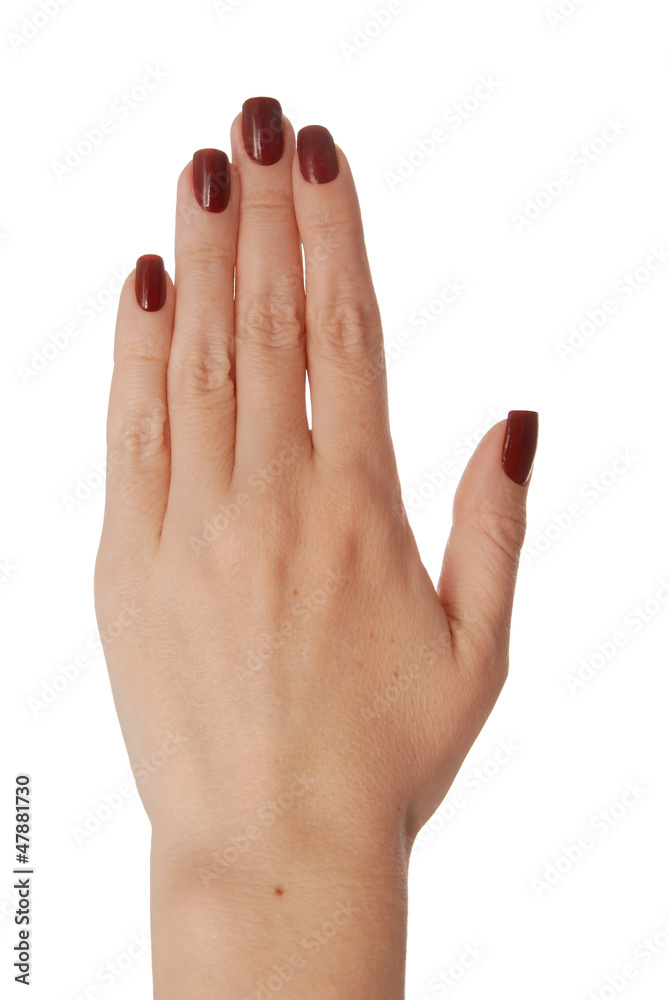 Fototapeta premium a back of the women's hand