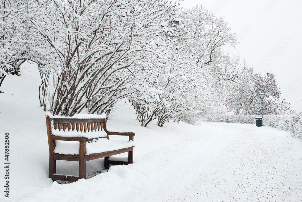 Park bench and trees covered by heavy snow