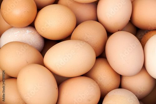 fresh eggs