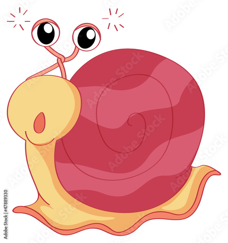 A snail
