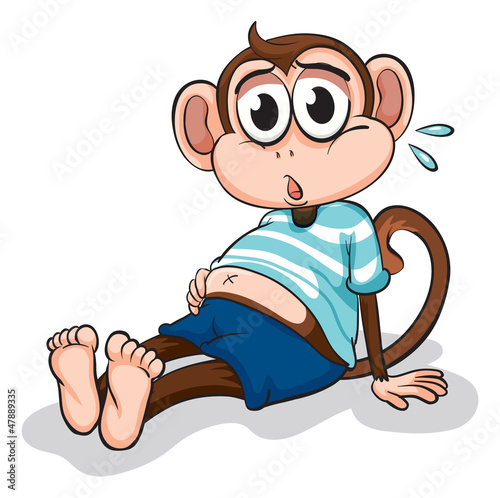A monkey