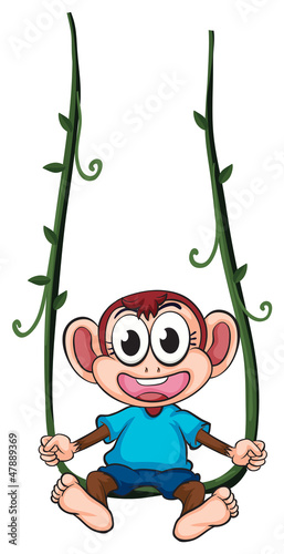 A monkey