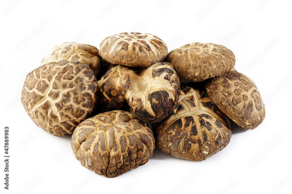 dried shiitake mushrooms on white background dried shiitake mushrooms on white background