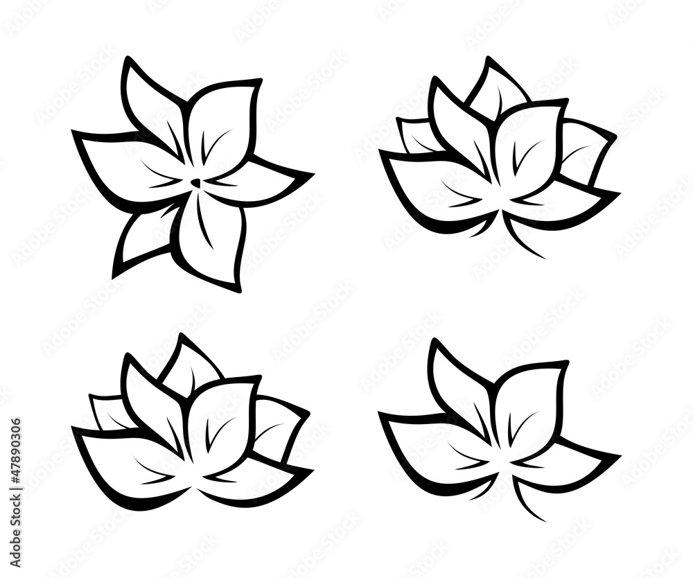 Black flowers illustration Black flowers illustration