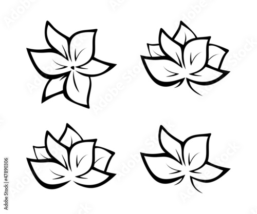 Black flowers illustration